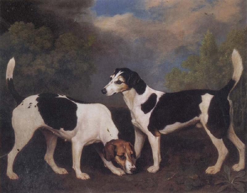 George Stubbs A Couple of Foxhounds oil painting picture